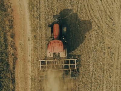 CS Shorts: Golden countryside